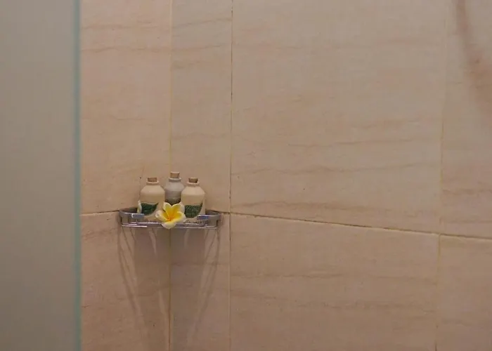 リゾート Aura Wellness Sanctuary 3*