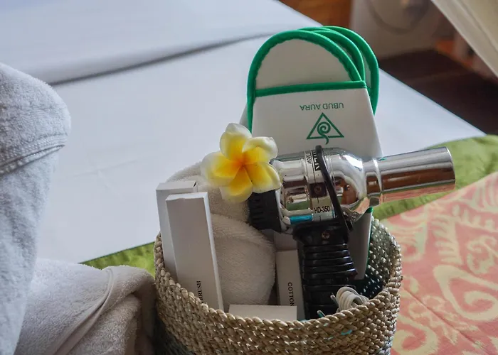 Aura Wellness Sanctuary 度假村